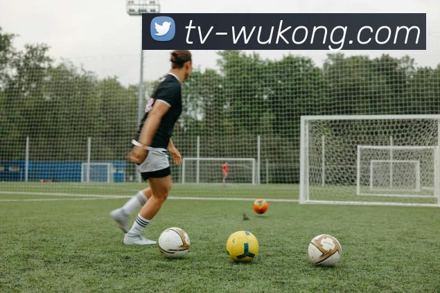 App Interface Preview